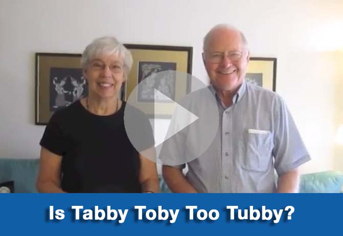 Os Tabby Toby Too Tubby?